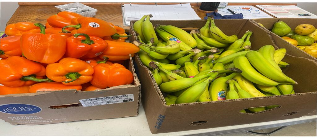 Westchester Latinos Unidos is feeding over 200 families!- and growing! We are making difference in our community.